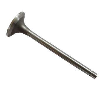 Cummins intake valve 207241-20